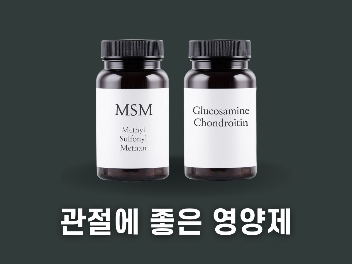 관절에 좋은 영양제 추천