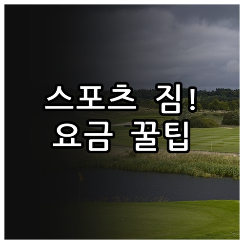미얀마국제항공 스포츠 장비 수하물 요..