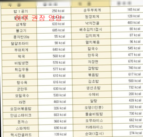 하루 권장 영양4