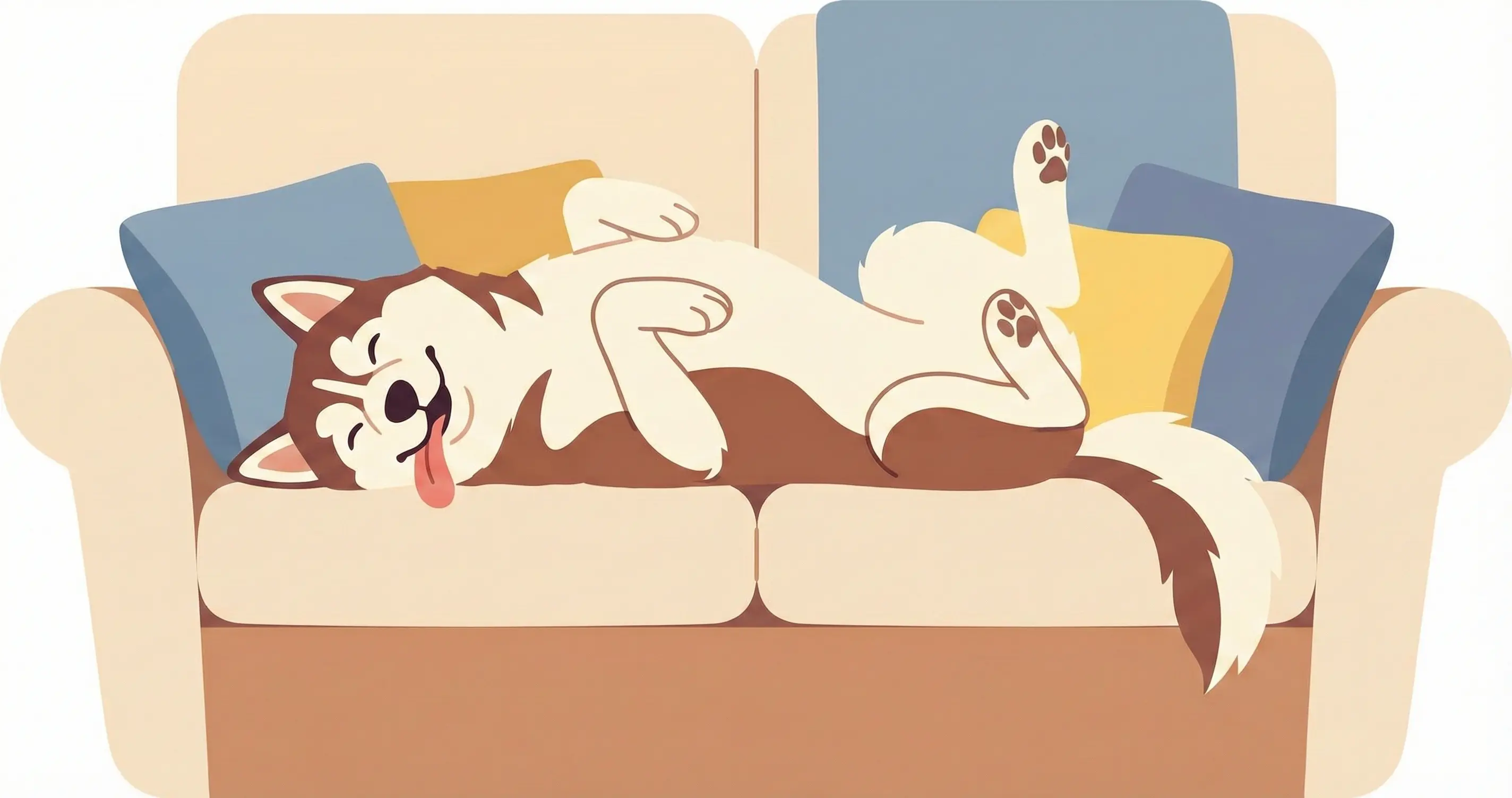 소파에 널브러져 자고 있는 우스꽝스러운 시베리안 허스키