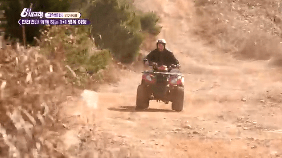 [6시내고향]경기 양평 애견동반 바베큐&middot;정원카페&middot;산악 액티비티 &amp;#39;바베큐레이브 더그림 엑스라이프&amp;#39; 예약 위치 연락처 정보