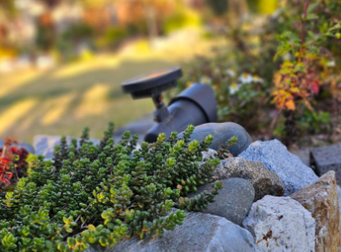 2025 서울국제정원박람회