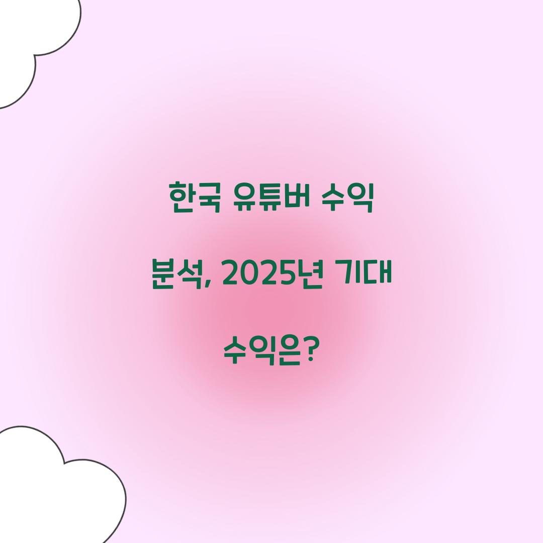 한국 유튜버 수익