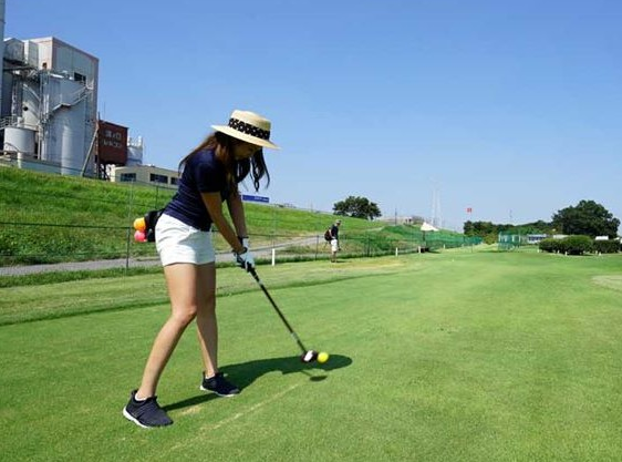 파크골프의 여러가지 빅데이터들 (2024년의 파크골프 성장)