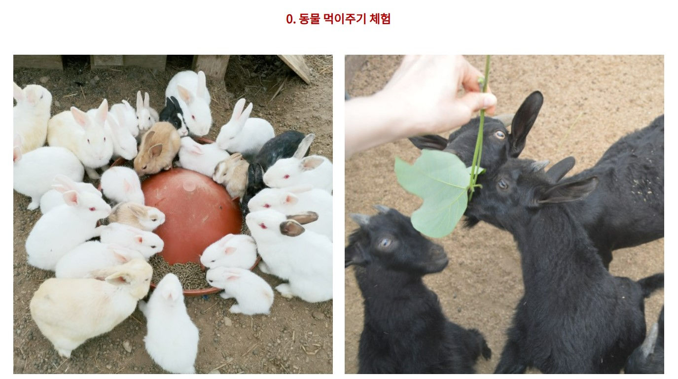 경기도 가볼만한 곳