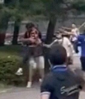 축구 K리그 수원삼성 팬의 서울 팬 폭행 논란