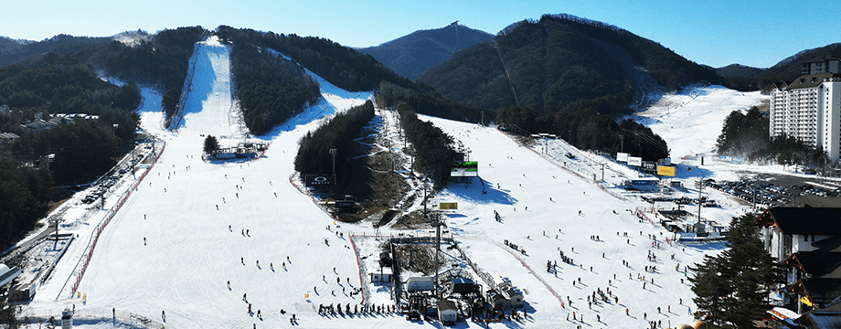 용평리조트 스키장, 용평리조트 시즌권 완벽 가이드, X5 시즌패스