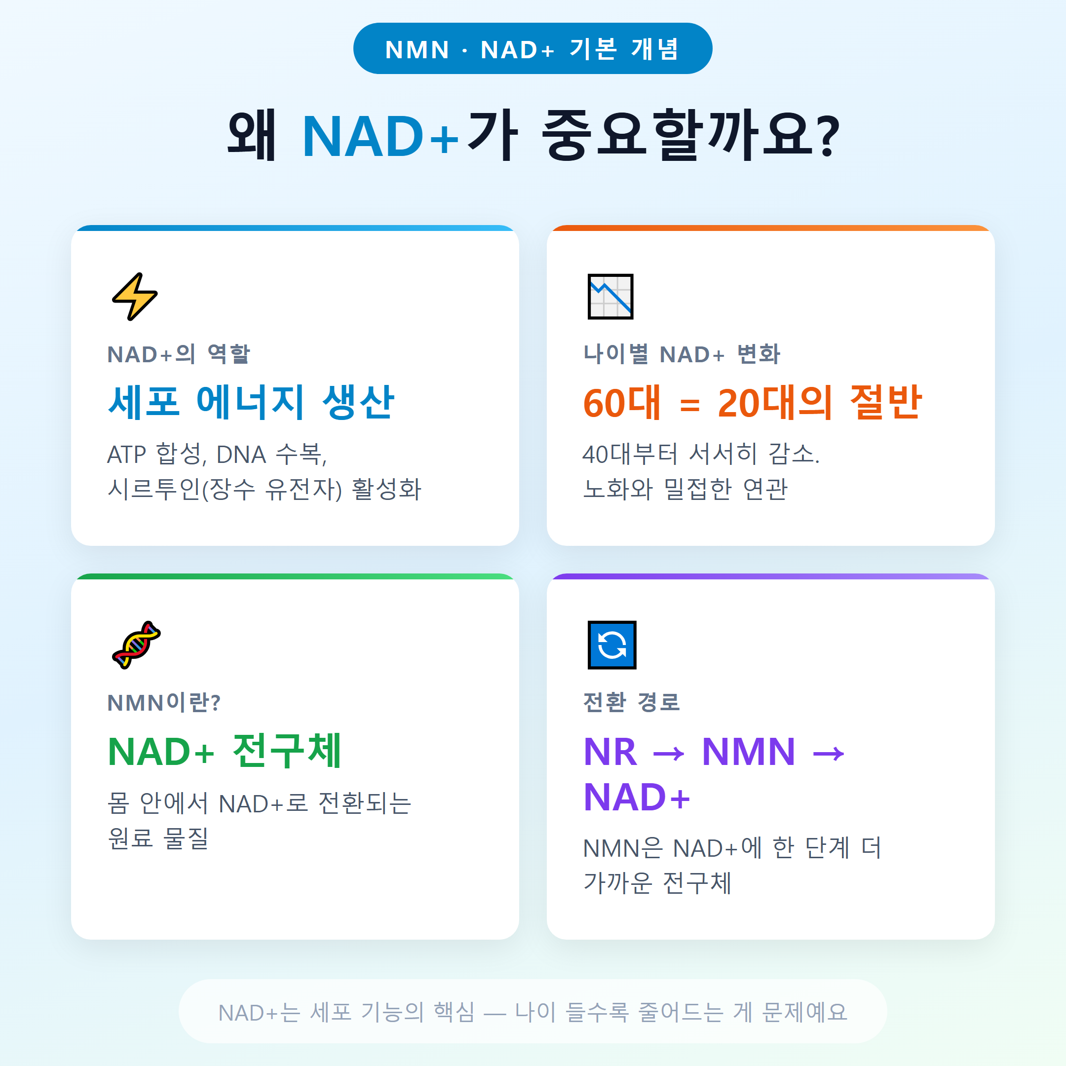 NAD+가 세포 에너지 생산과 노화에 미치는 역할 &mdash; NMN&middot;NAD+ 기본 개념 요약