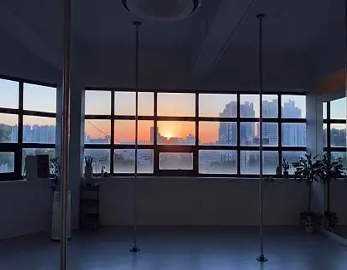 폴레브폴댄스