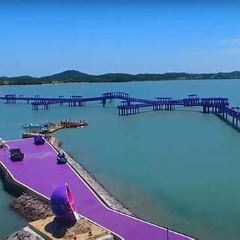 퍼플섬 라벤더축제