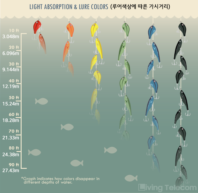 선상 주꾸미 낚시 핵심 가이드
