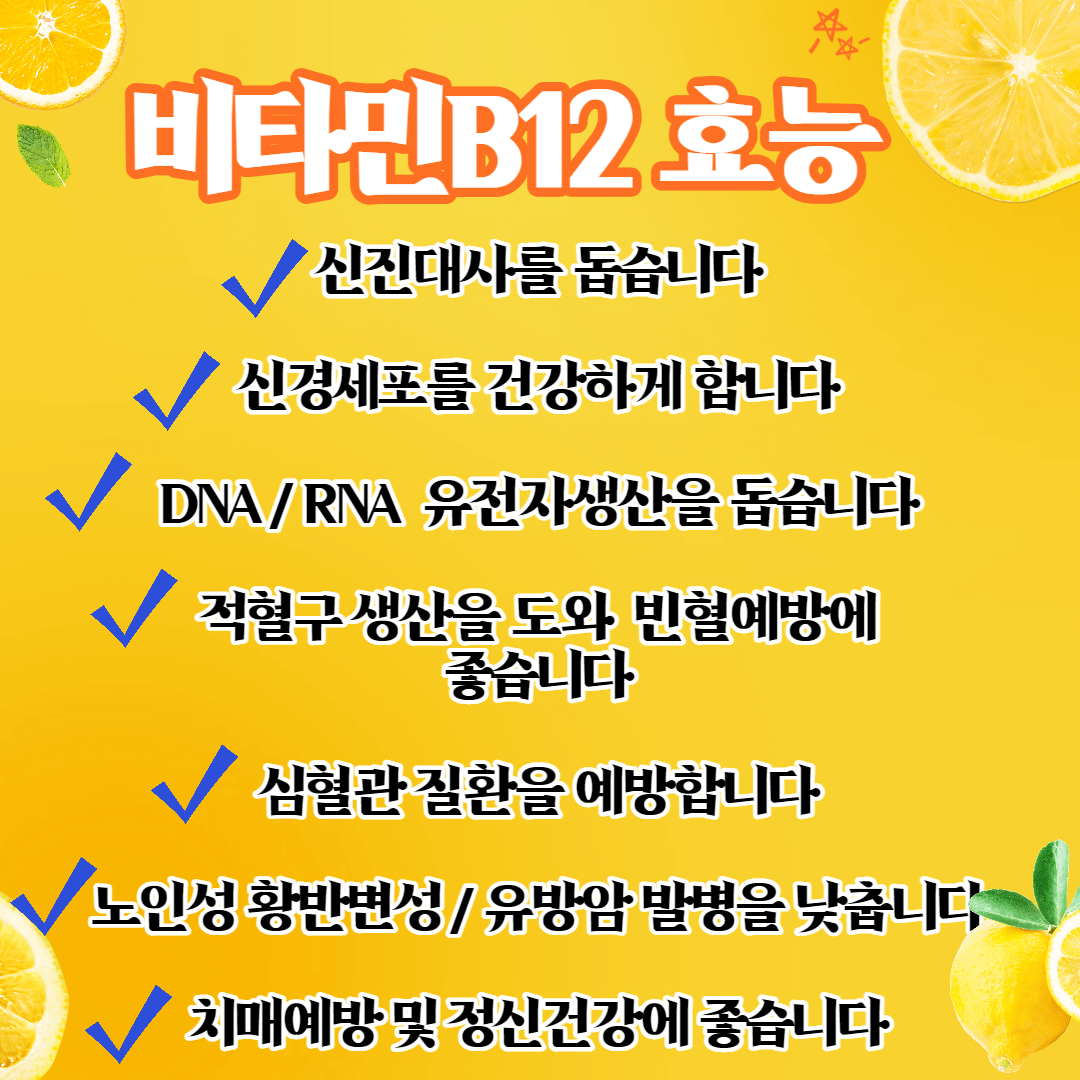비타민B12
