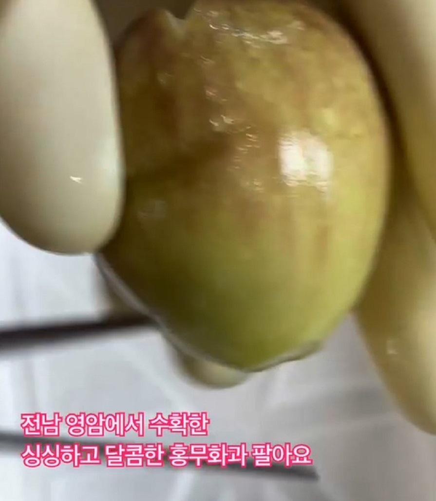 동네한바퀴-영암-재래종-무화과