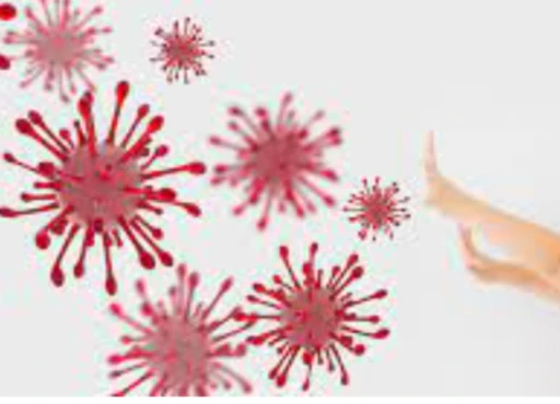 공진단-효능-먹는법-건강