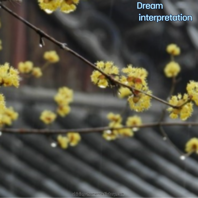 봄을 알리는 비와 관련된 20가지 꿈 해몽