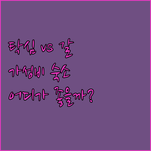 탁심 vs 갈라타 당신의 선택은 이스..