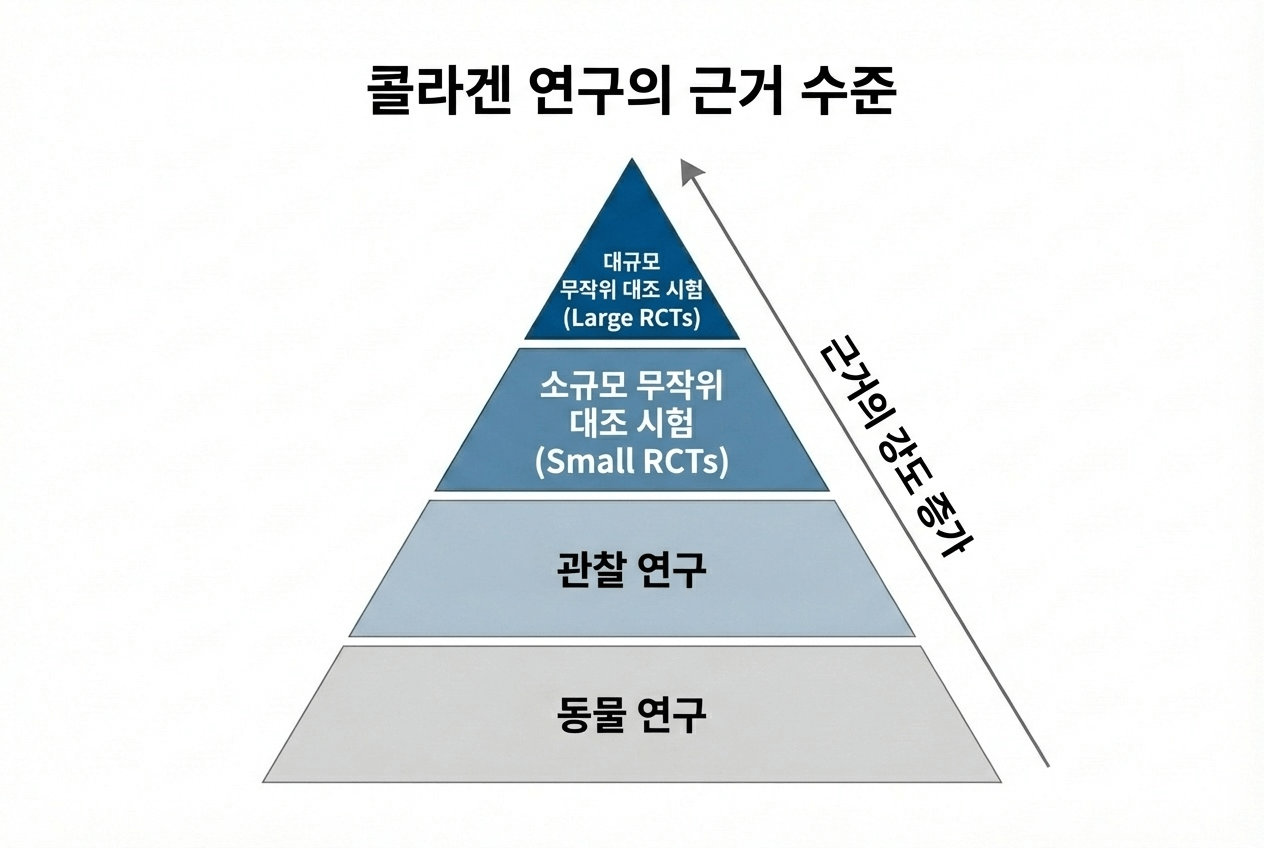 콜라겐 임상시험 근거 수준 피라미드 인포그래픽