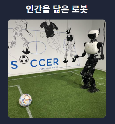 휴머노이드 로봇 이미지