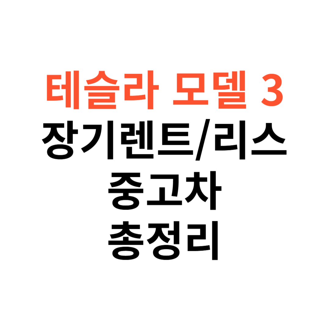 테슬라 모델 3 장기렌트