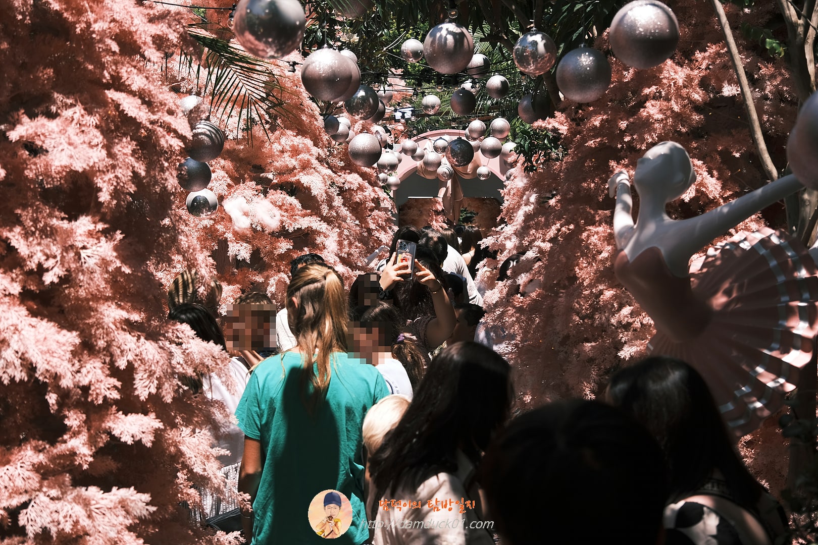 더 그라운즈 오브 알렉산드리아(The Grounds of Alexandria)