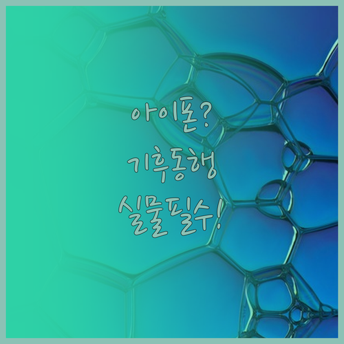 아이폰 사용자 기후동행카드 실물카드 ..