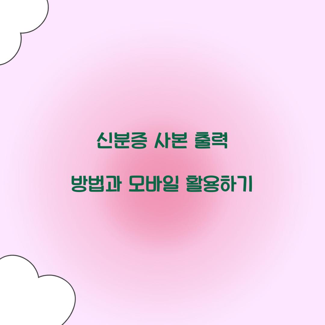 신분증 사본 출력