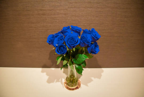 데이트에 어울리는 향수 & 액세서리 추천