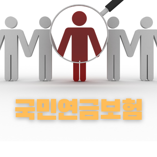 국민연금보험