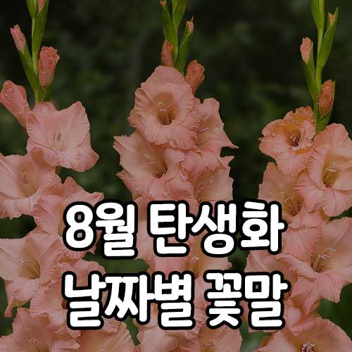 8월 탄생화 꽃말 모음 - 썸네일