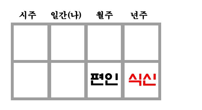 년, 월 편인도식 사주
