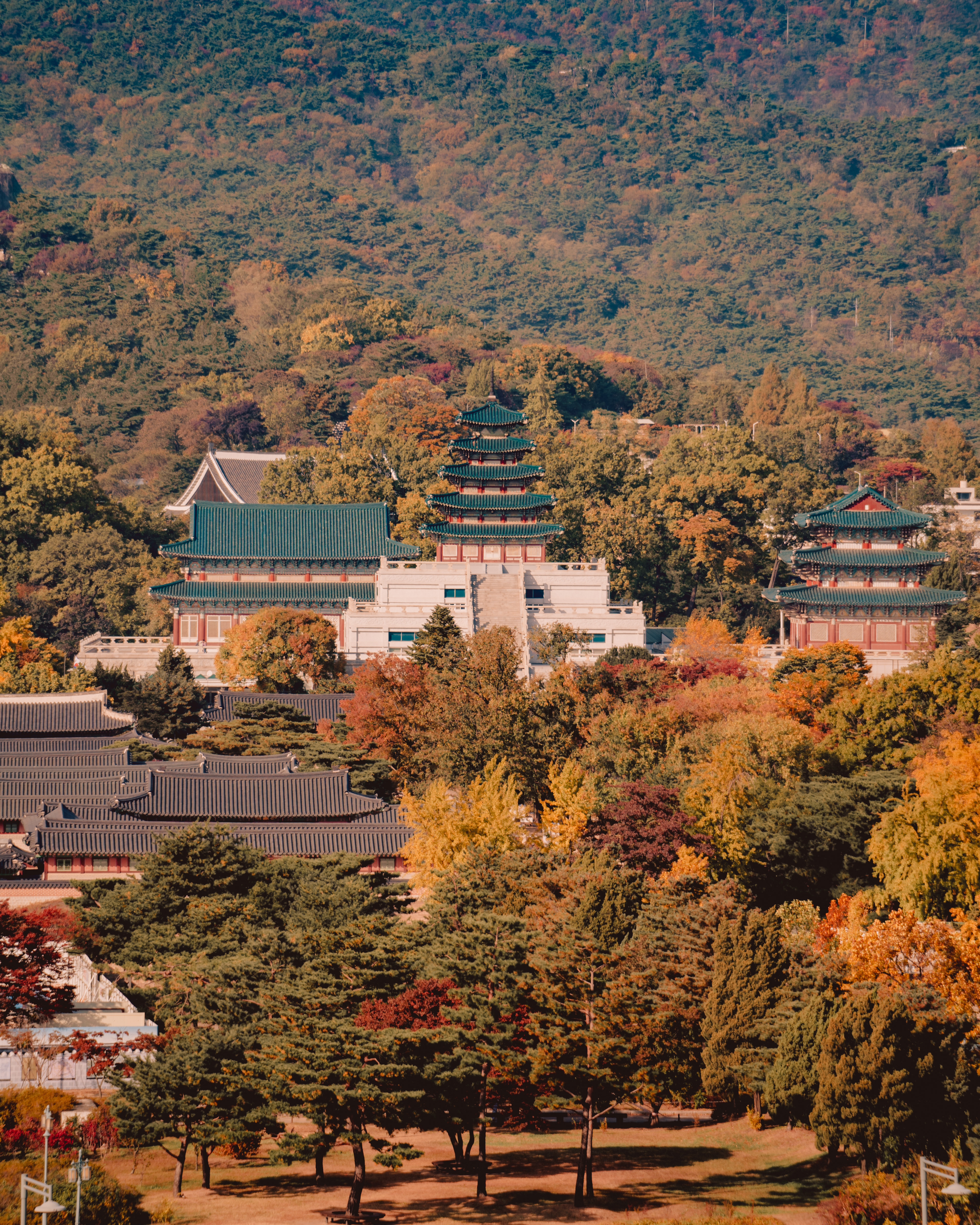 경복궁, Alpha 7 III ㅣSEL70200GMㅣ@fly_grapher