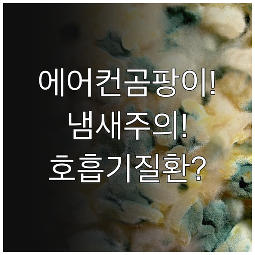 에어컨 곰팡이 냄새, 방치하면 생기는..