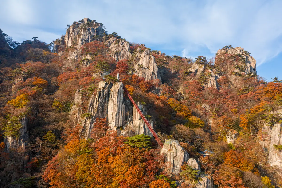 대둔산 단풍