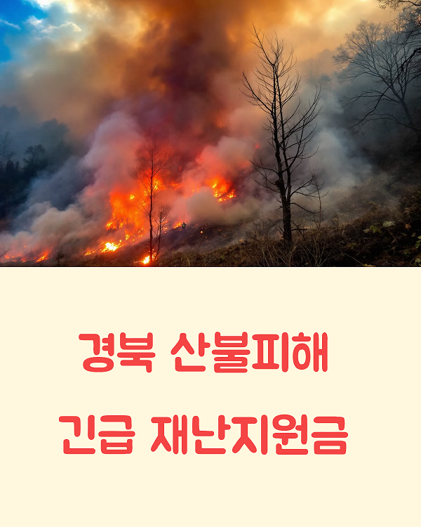 산불피해 긴급재난 지원금 총정리