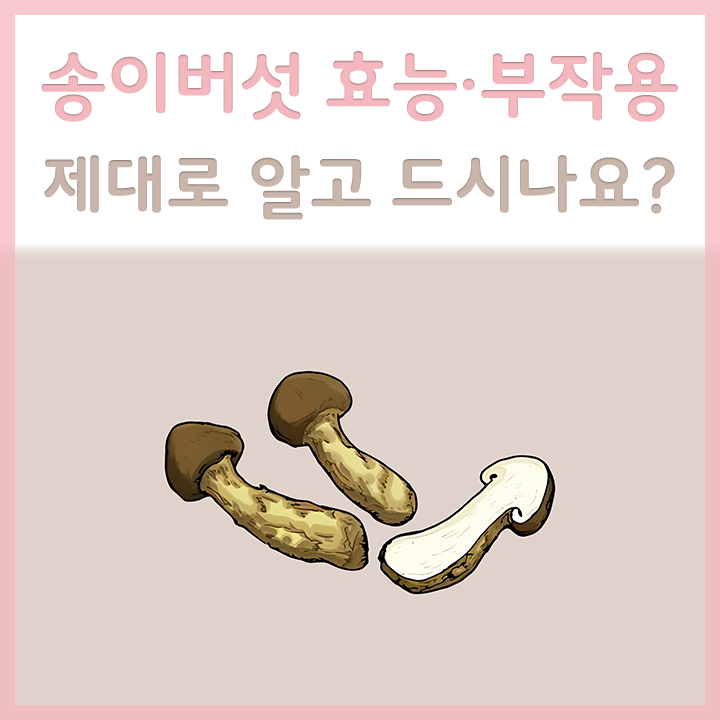 송이버섯