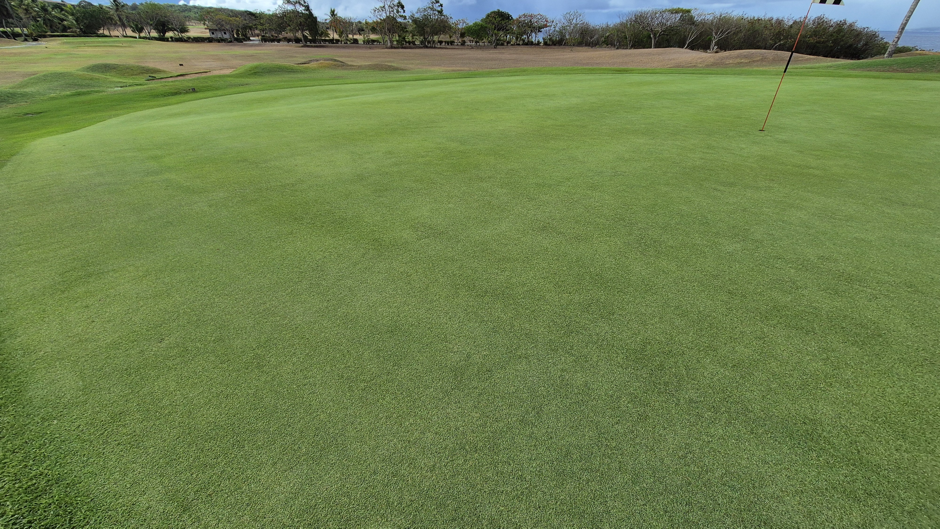 코랄오션cc 골프 라운드