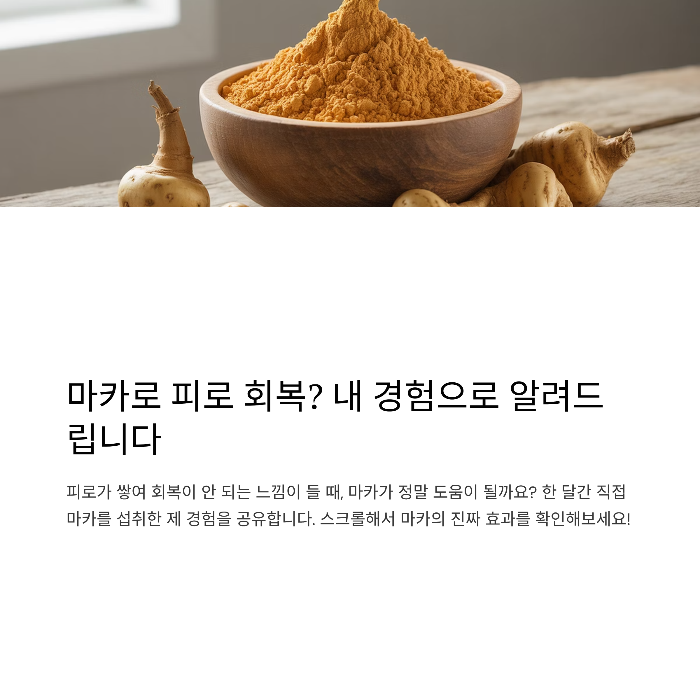 마카 먹고 피로회복된 썰 푼다!
