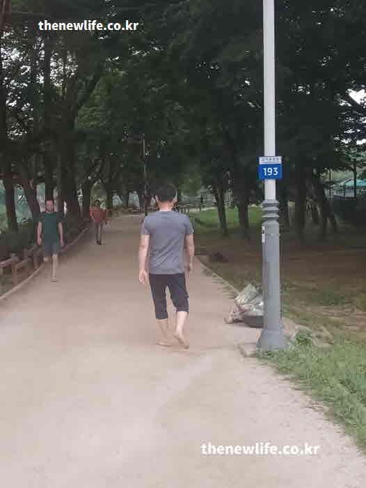 맨발겪기 효능 장 건강 증진