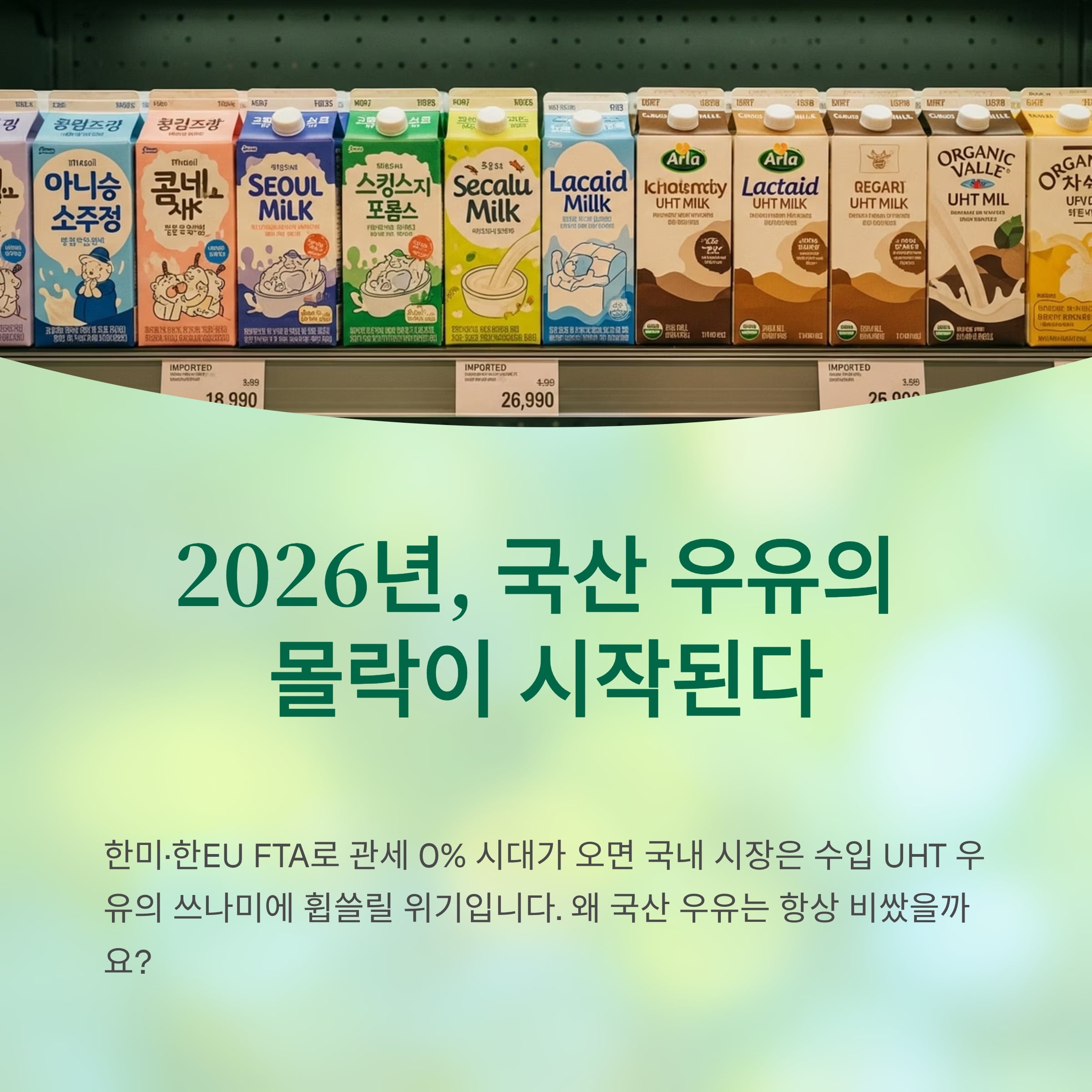 2026년, 국산 우유의 몰락 시작? 식탁을 뒤흔드는 수입 우유의 역습