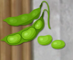 아르기닌 많은 음식