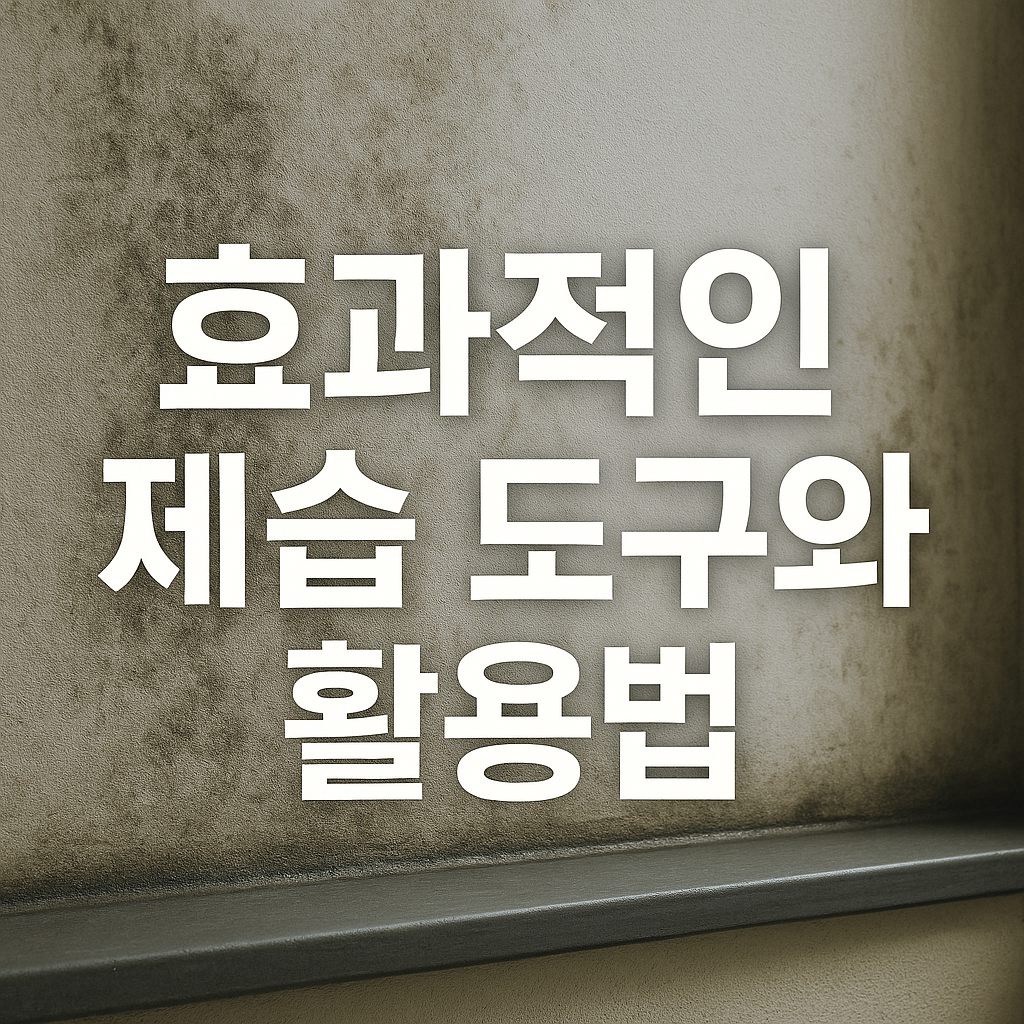 효과적인 제습 도구와 활용법