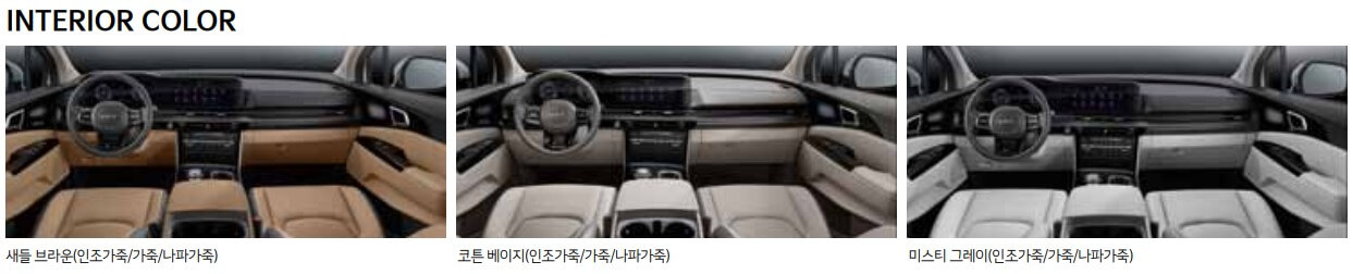 카니발 내장 컬러