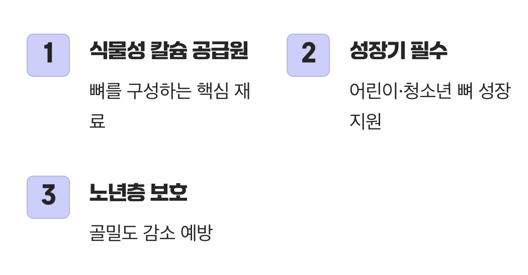 뼈를 채우는 숨은 일등공신