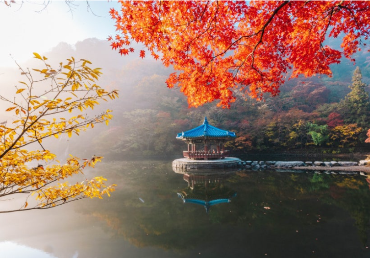 내장산 단풍1