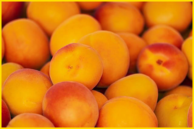 베타카로틴이 풍부한 살구 효능 8가지