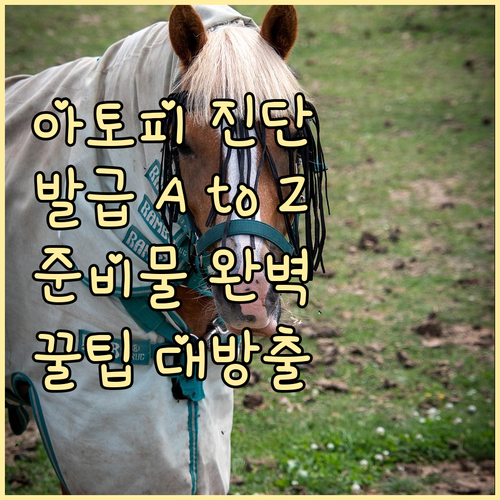 아토피 피부염 진단서 발급 A to ..