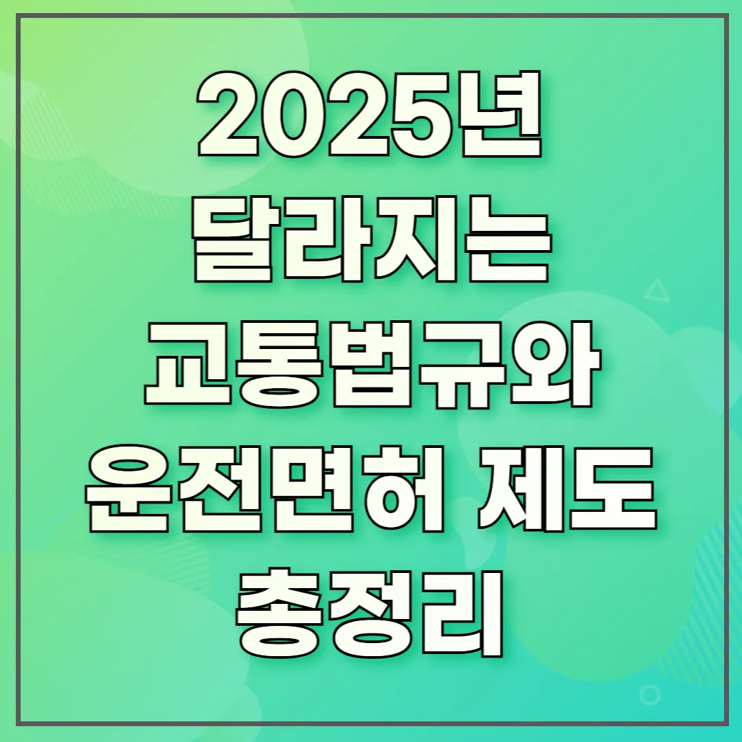 2025년 달라지는 교통법규와 운전면허 제도 총정리