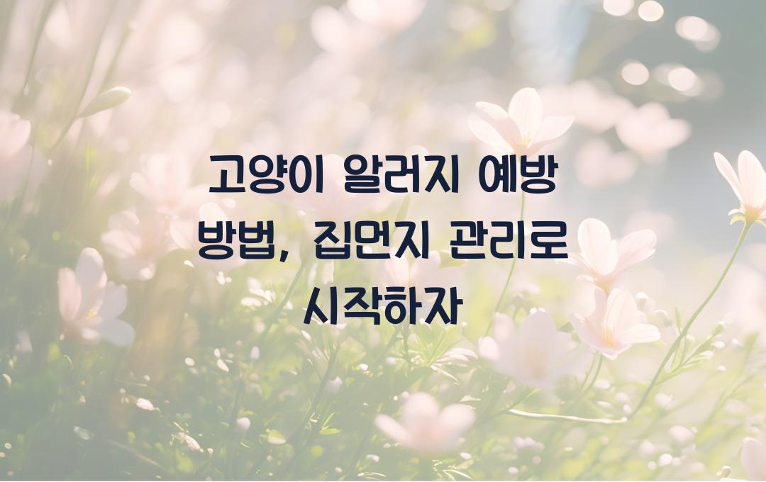 고양이 알러지 예방 방법, 집먼지부터 관리하자
