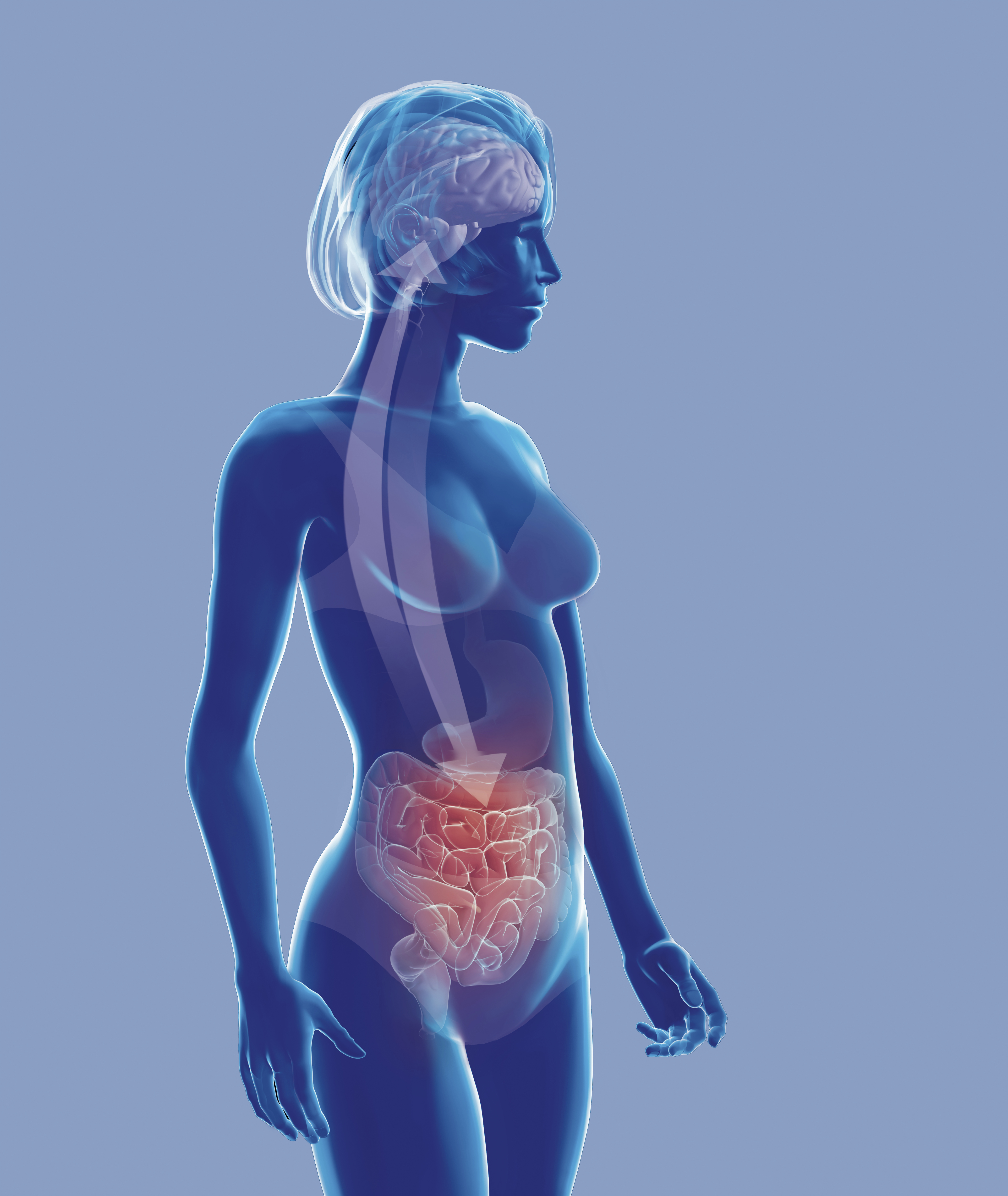 장이 건강해야 정신도 건강하다