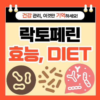 락토페린